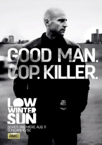 Низкое зимнее солнце (2013)